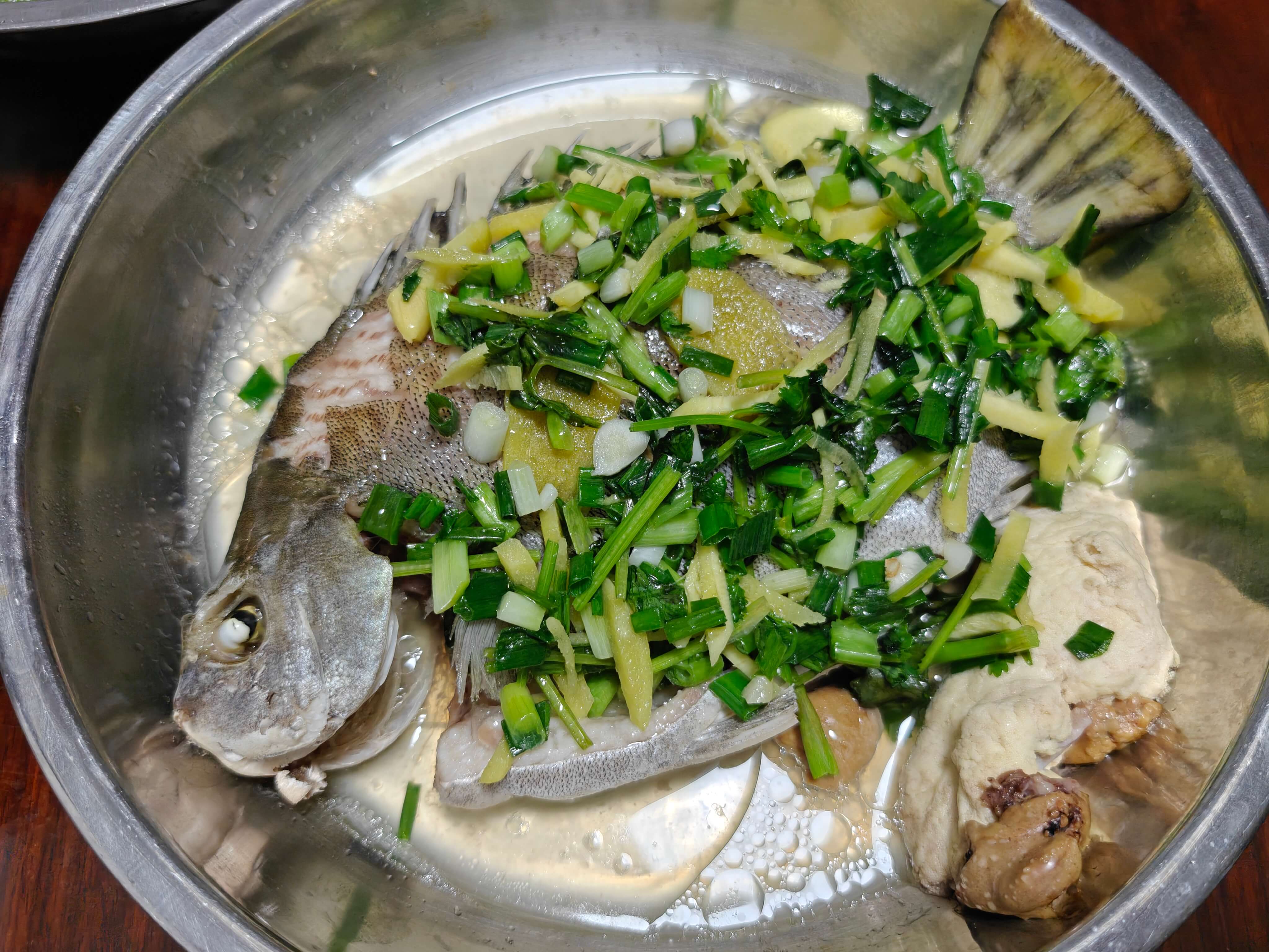 Featured image of post 金鼓鱼